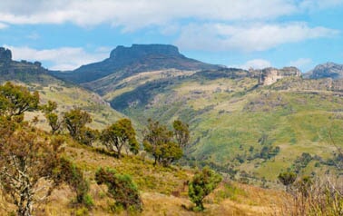 Mount Elgon landscape